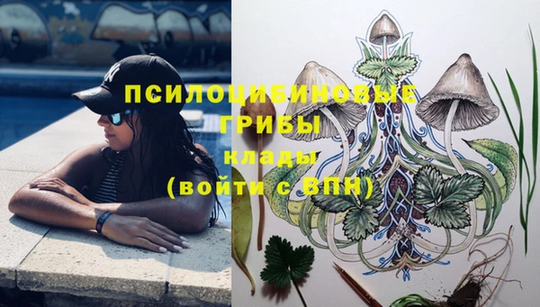 a pvp Осинники