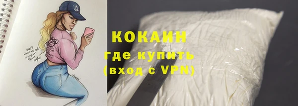 молекула духа Шадринск