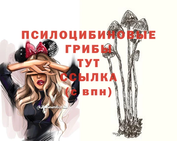 a pvp Осинники