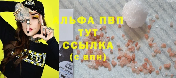 скорость Шали