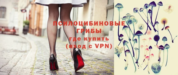 ГАЛЛЮЦИНОГЕННЫЕ ГРИБЫ Сясьстрой