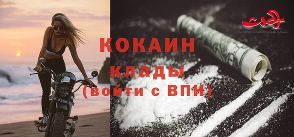 молекула духа Шадринск