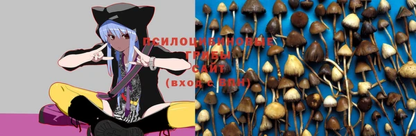 jwh Остров